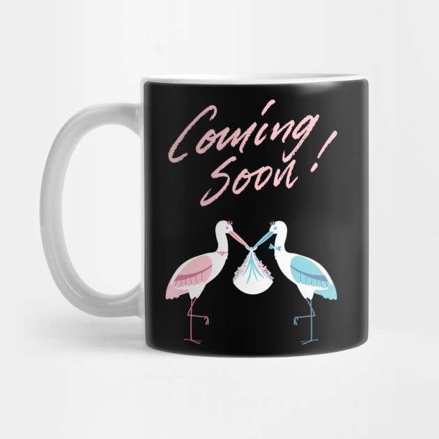 Mother's To Be, New Moms, Baby Announcement Cute, Storks, Coming Soon Design by BirdsnStuff